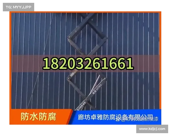 外域征途探索的实用步骤与建议及技巧分享 外域征途探索的实用步骤与建议及技巧分享